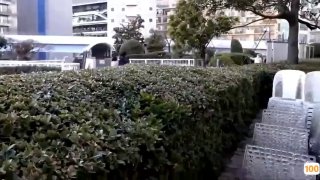 狐狸与猎狗免费全集观看🔞中文字幕一区二区三区